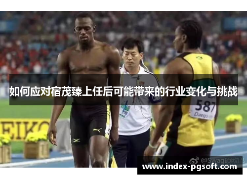 如何应对宿茂臻上任后可能带来的行业变化与挑战
