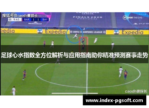 足球心水指数全方位解析与应用指南助你精准预测赛事走势