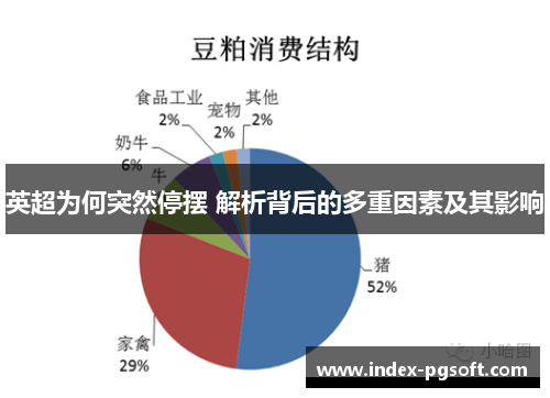 英超为何突然停摆 解析背后的多重因素及其影响