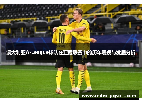 澳大利亚A-League球队在亚冠联赛中的历年表现与发展分析