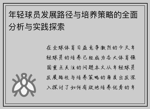 年轻球员发展路径与培养策略的全面分析与实践探索