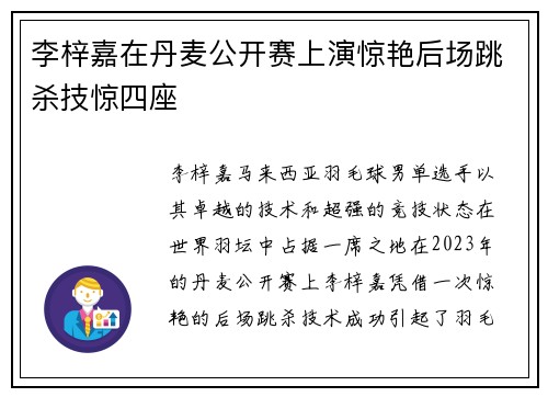 李梓嘉在丹麦公开赛上演惊艳后场跳杀技惊四座