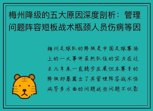 梅州降级的五大原因深度剖析：管理问题阵容短板战术瓶颈人员伤病等因素的综合影响